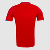 Retro 2010 Spain Home Soccer Jersey